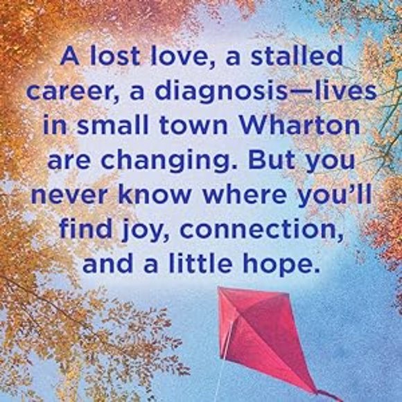 A Little Hope by Ethan Joella- BOTM- Brand New Copy - Never Opened! - Picture 7 of 12